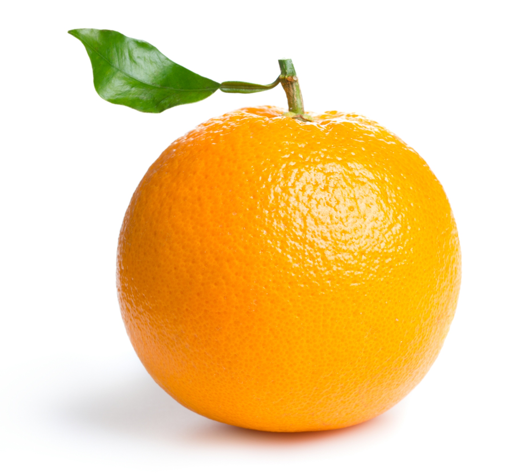 1 small orange 1 small orange